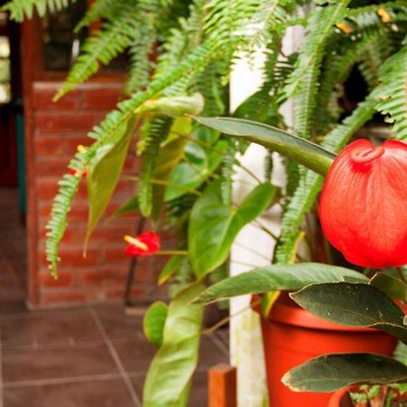 El Pedron Hotel Баньос Экстерьер фото